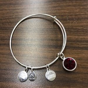 Alex and Ani garnet January birthstone bracelet